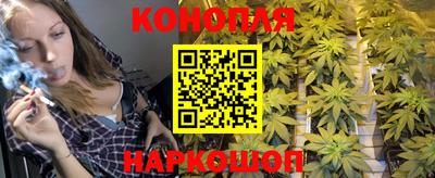 прущие грибы Ливны