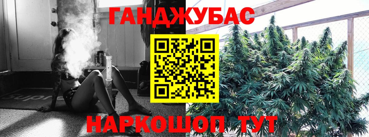 Конопля сатива Иваново